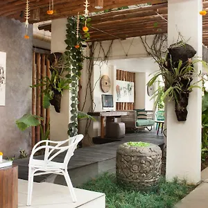 Grandmas 3*, Seminyak Indonesië